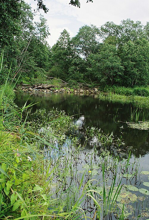 Amme River