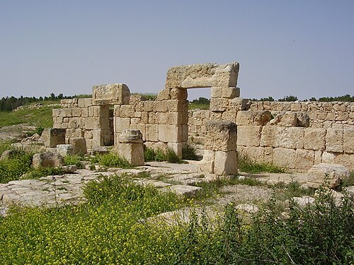 Sinagoga de Anim