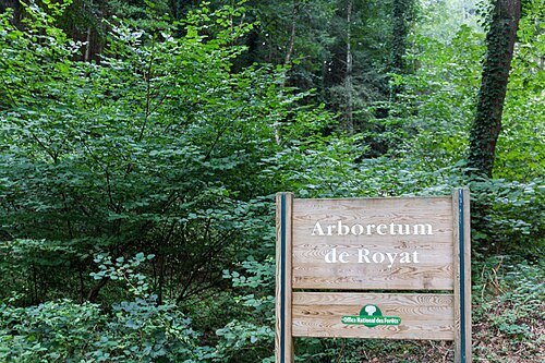 Arboretum de Royat