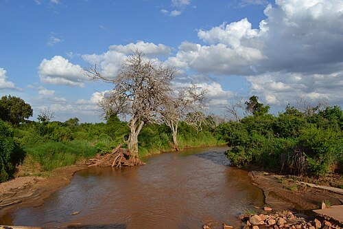 Voi River