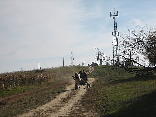 Bălănești Hill