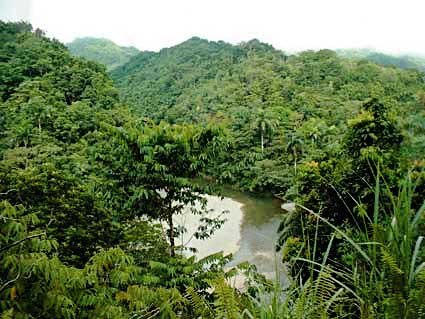 Alexander von Humboldt National Park
