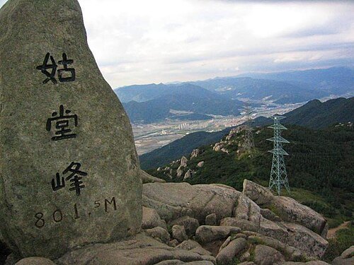 金井山