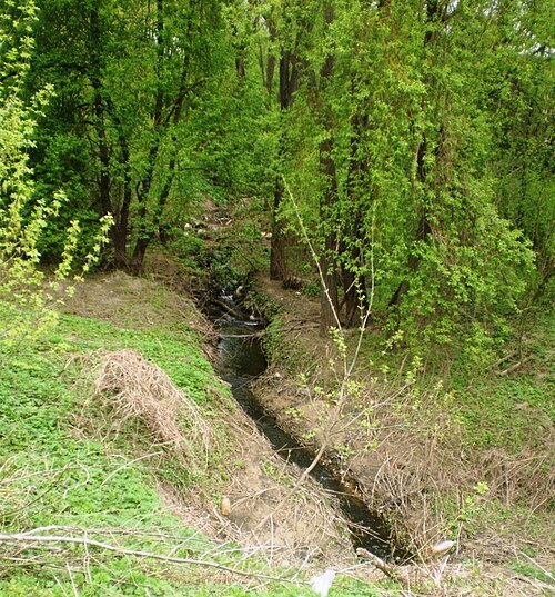 Ašarėna