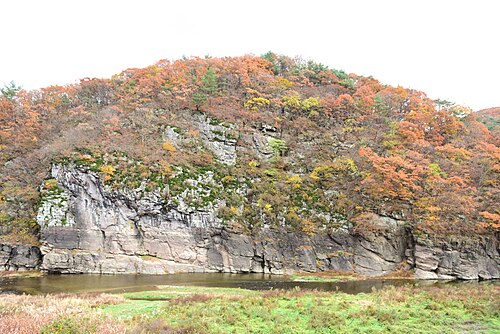 Petroglifos de Bangudae