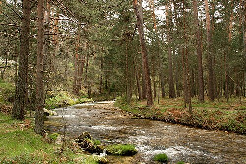 Sierra Norte de Guadarrama Natural Park
