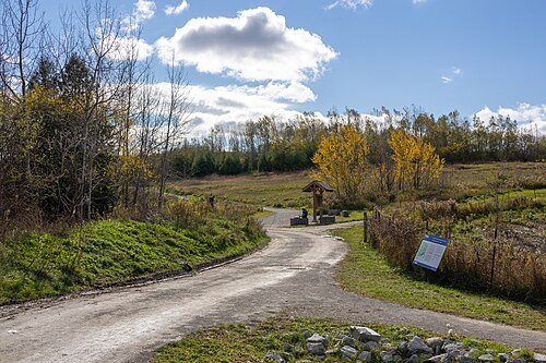 Beare Hill Park