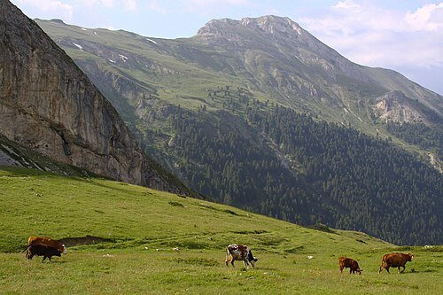 Beleg Mountain