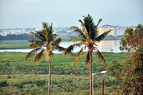 Bellandur Lake