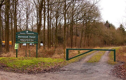 Bernwood Forest
