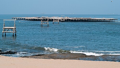 Bird Island