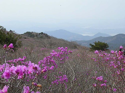 琵瑟山