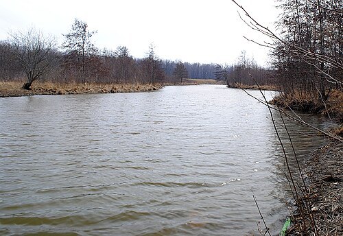Buckhorn Island State Park
