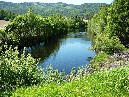 Sogna