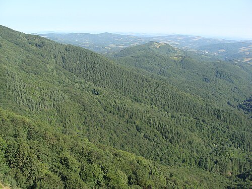 Bulgarka Nature Park