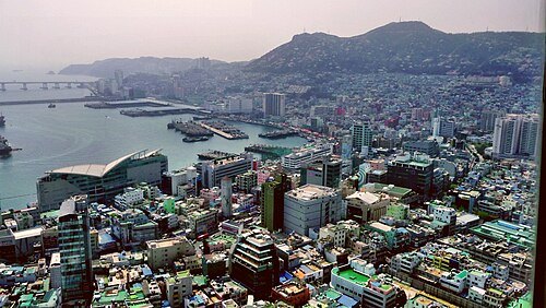 Busan Cooperative Fish Market