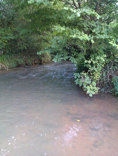 Cadoxton River