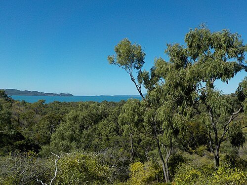 Cape Pallarenda Conservation Park