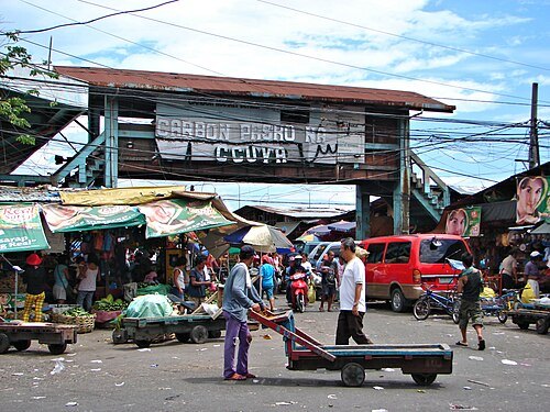 Carbon Market