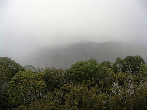 Cerro Oncol