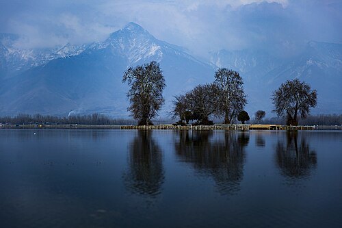 Char Chinar