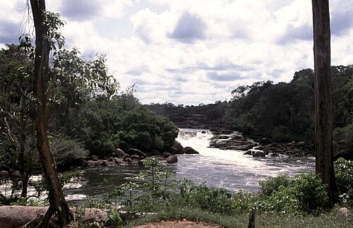 Courantyne River