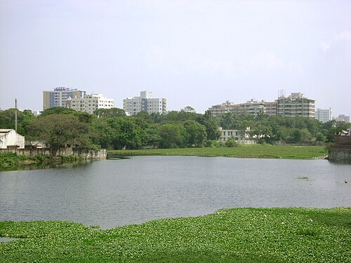 Chetput Lake