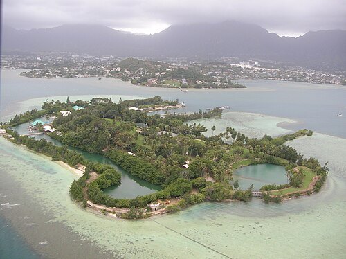 Coconut Island