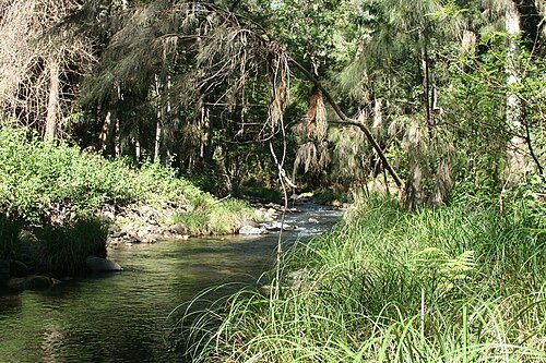 Coomera River