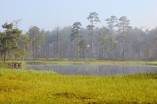 Väätsa Nature Reserve