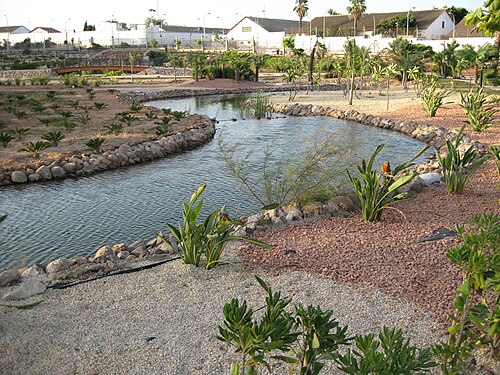 Parque Forestal