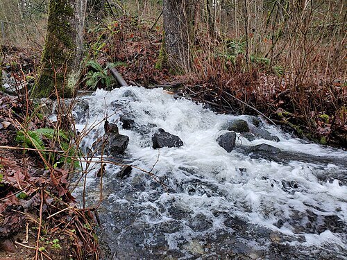 D'Herbomez Creek