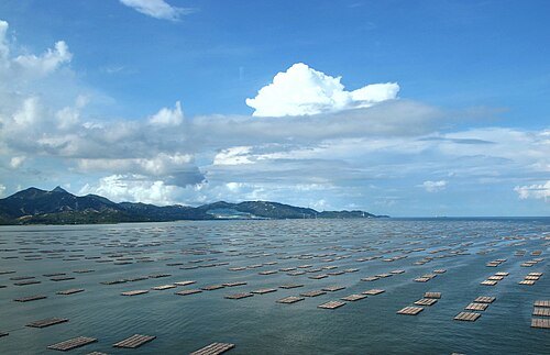 Bahía de Shenzhen