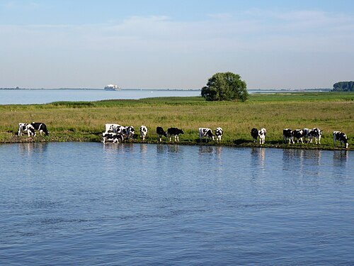 Wischhafener Süderelbe