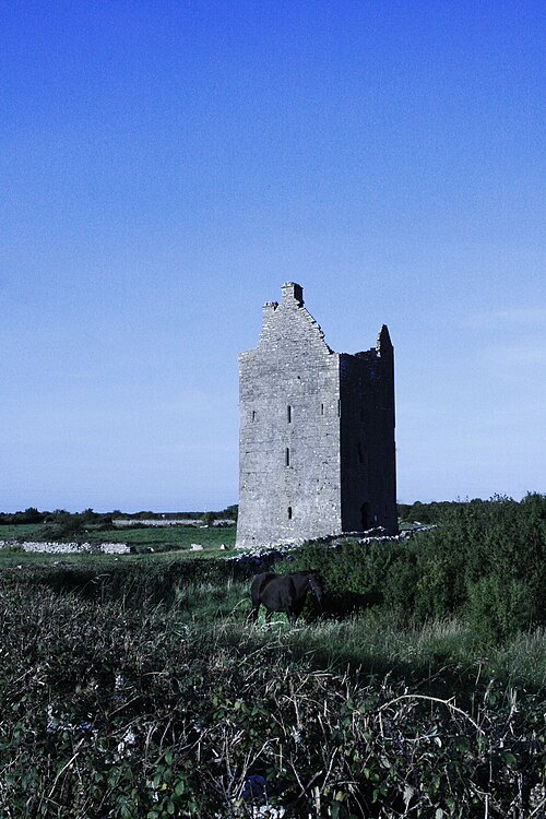 Drumharsna Castle