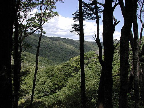 East Harbour Regional Park