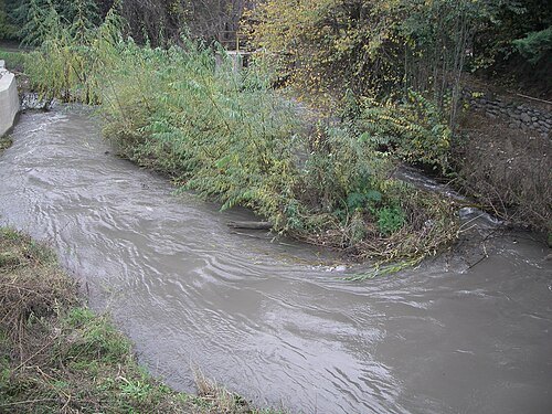 Estero La Cadena