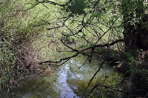 Fanno Creek