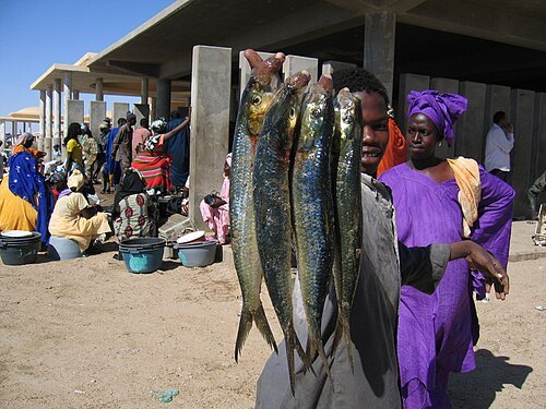 Fish Market