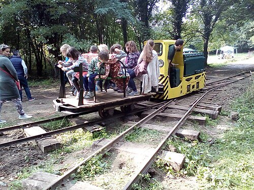 Gödöllő Forest Railway