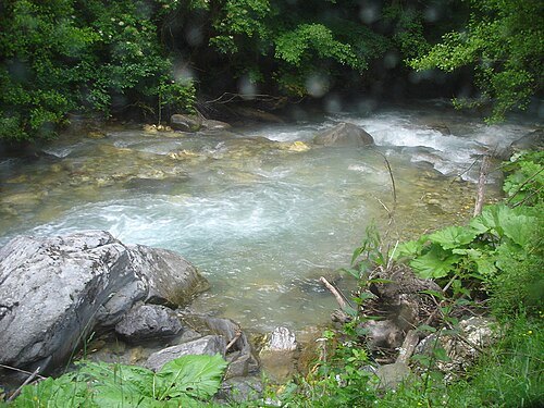 Ribnica River