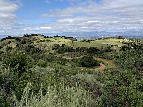 Fremont Older Open Space Preserve