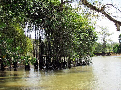 Río Frío