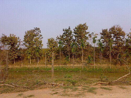 Garchuk Lachit Garh