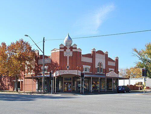 Model Store