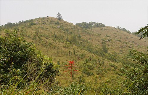 Grassy Hill