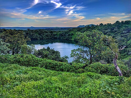 Lac Tison
