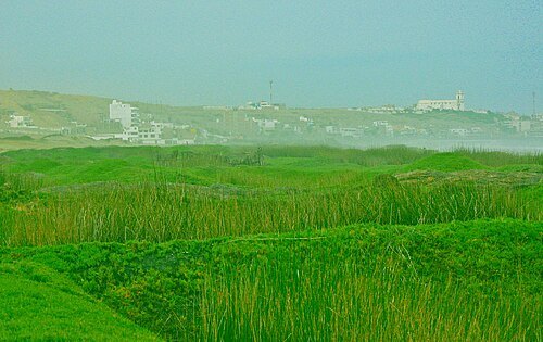Swamps of Huanchaco