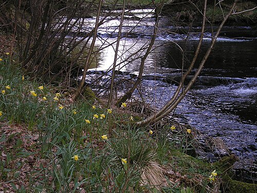 Warche