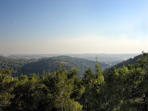 Forest of the Martyrs